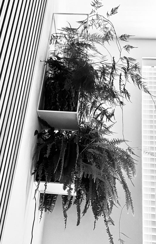 Minimalistic Metal Wall Frame