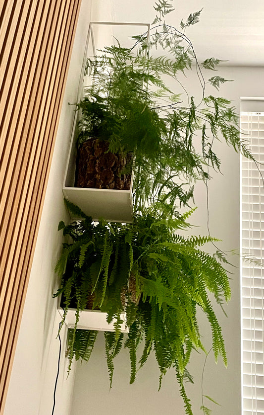 Minimalistic Metal Wall Frame